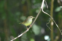 Pee Dee National Wildlife Refuge